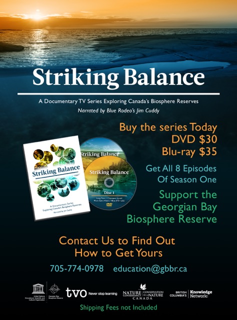 Striking Balance DVD Cover